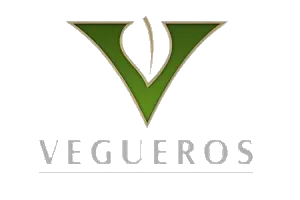 ๅจๅคๆด Vegueros