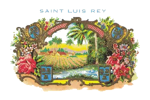 圣路易斯雷伊 Saint Luis Rey