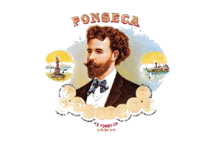 丰塞卡 Fonseca